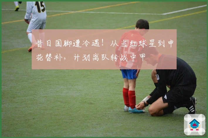 昔日国脚遭冷遇！从当红球星到申花替补，计划离队转战中甲