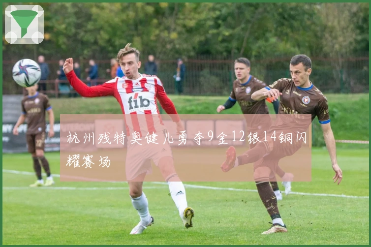 杭州残特奥健儿勇夺9金12银14铜闪耀赛场