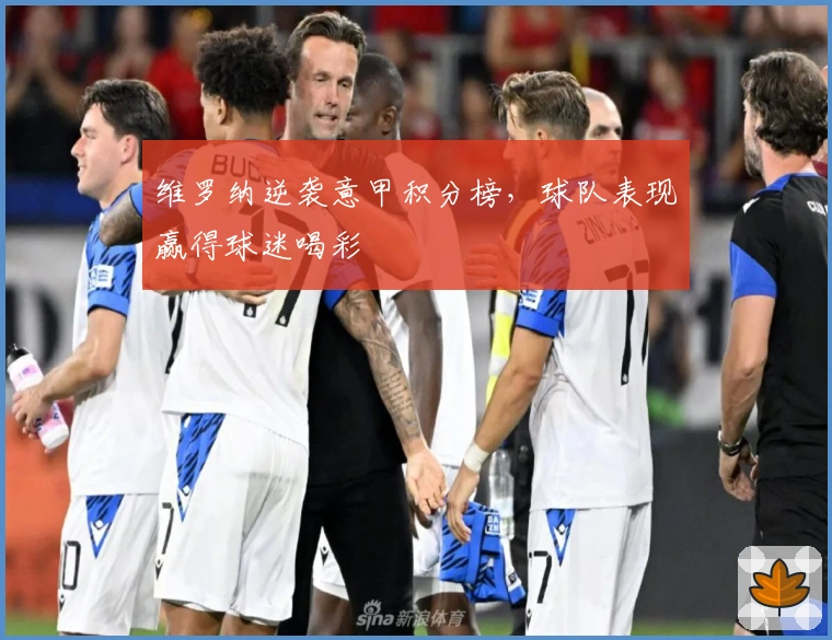 维罗纳逆袭意甲积分榜，球队表现赢得球迷喝彩