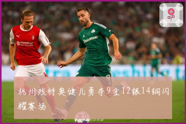 杭州残特奥健儿勇夺9金12银14铜闪耀赛场