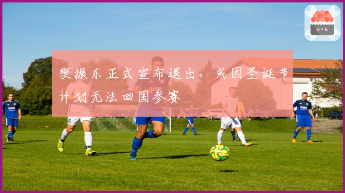 樊振东正式宣布退出，或因圣诞节计划无法回国参赛